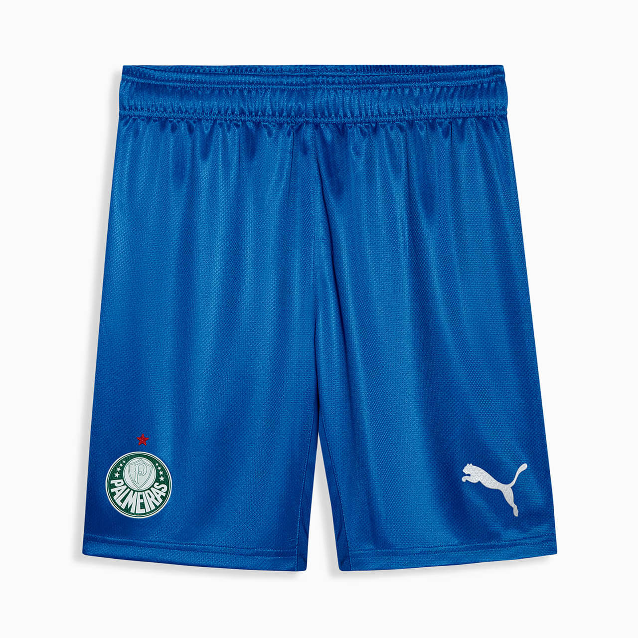 Terceira camisa do Palmeiras 2025-2026 PUMA