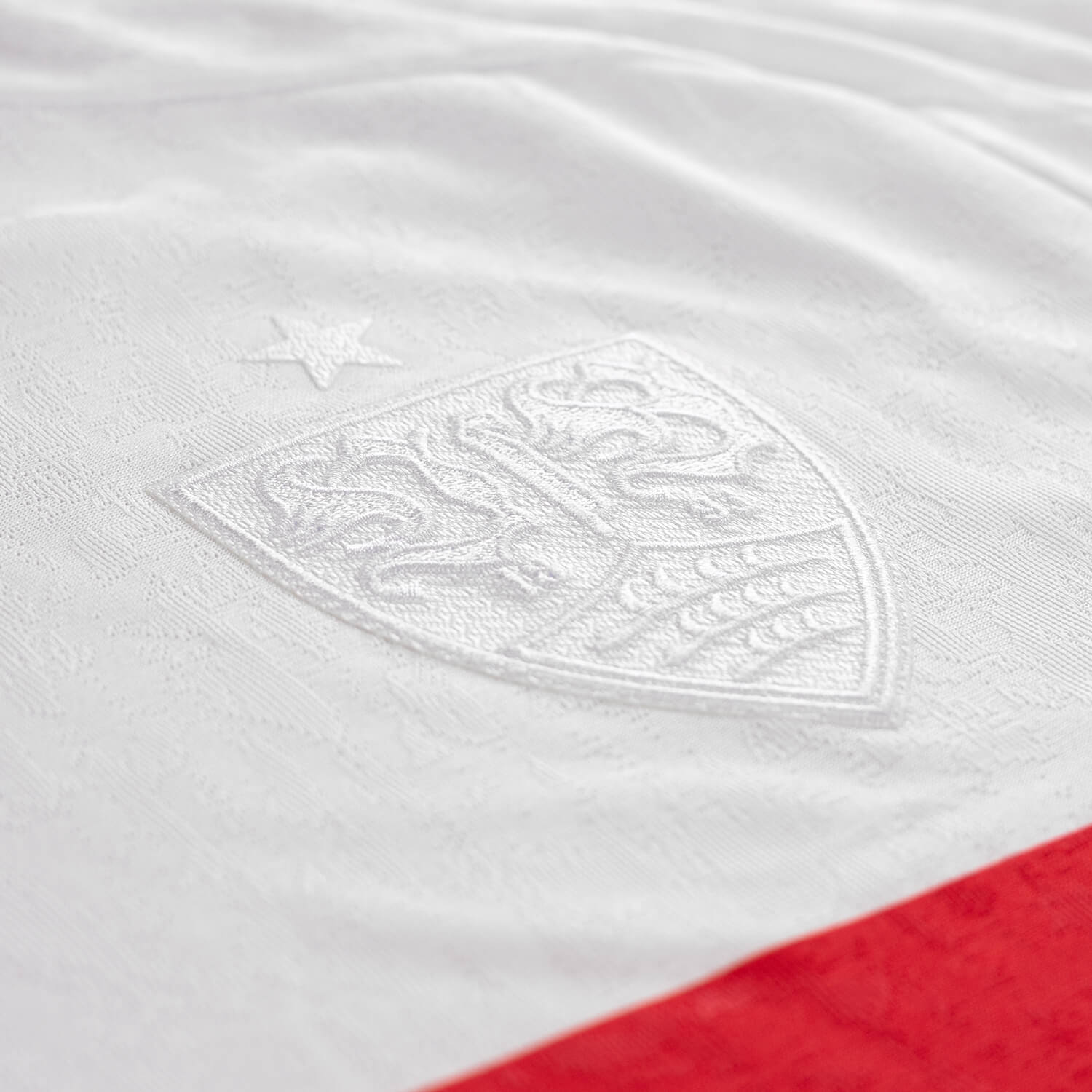 Camisa especial do VfB Stuttgart 2025-2026 JAKO