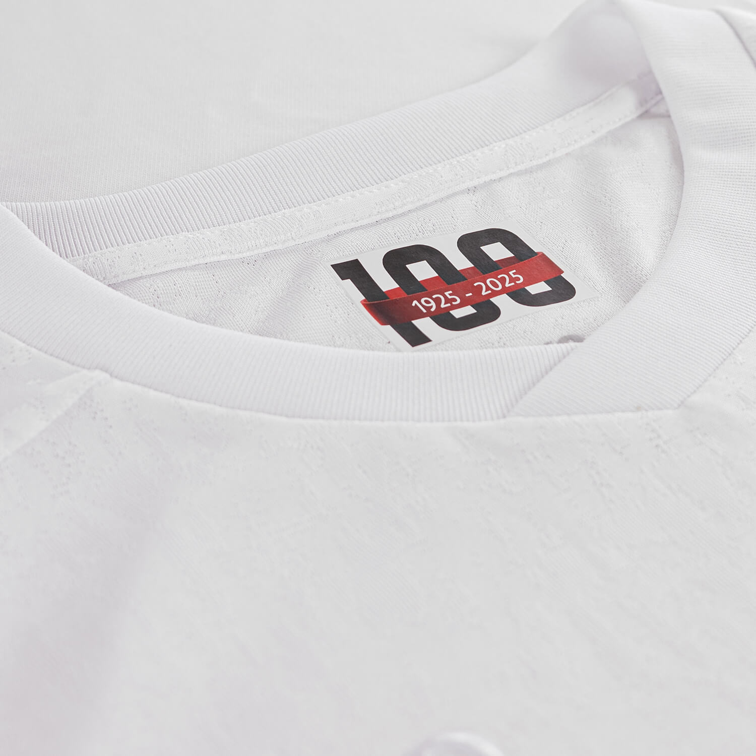 Camisa especial do VfB Stuttgart 2025-2026 JAKO