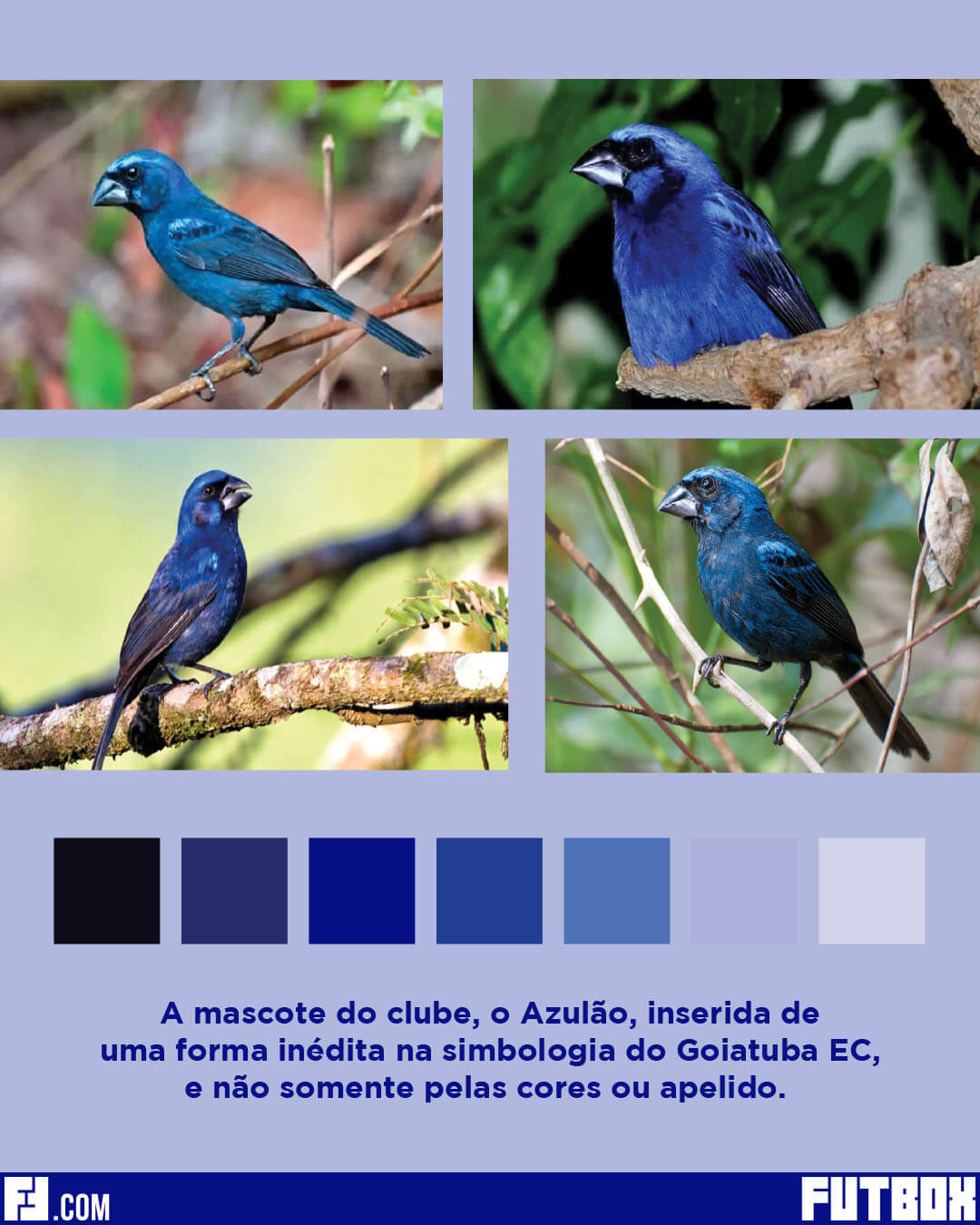 Goiatuba EC novo escudo