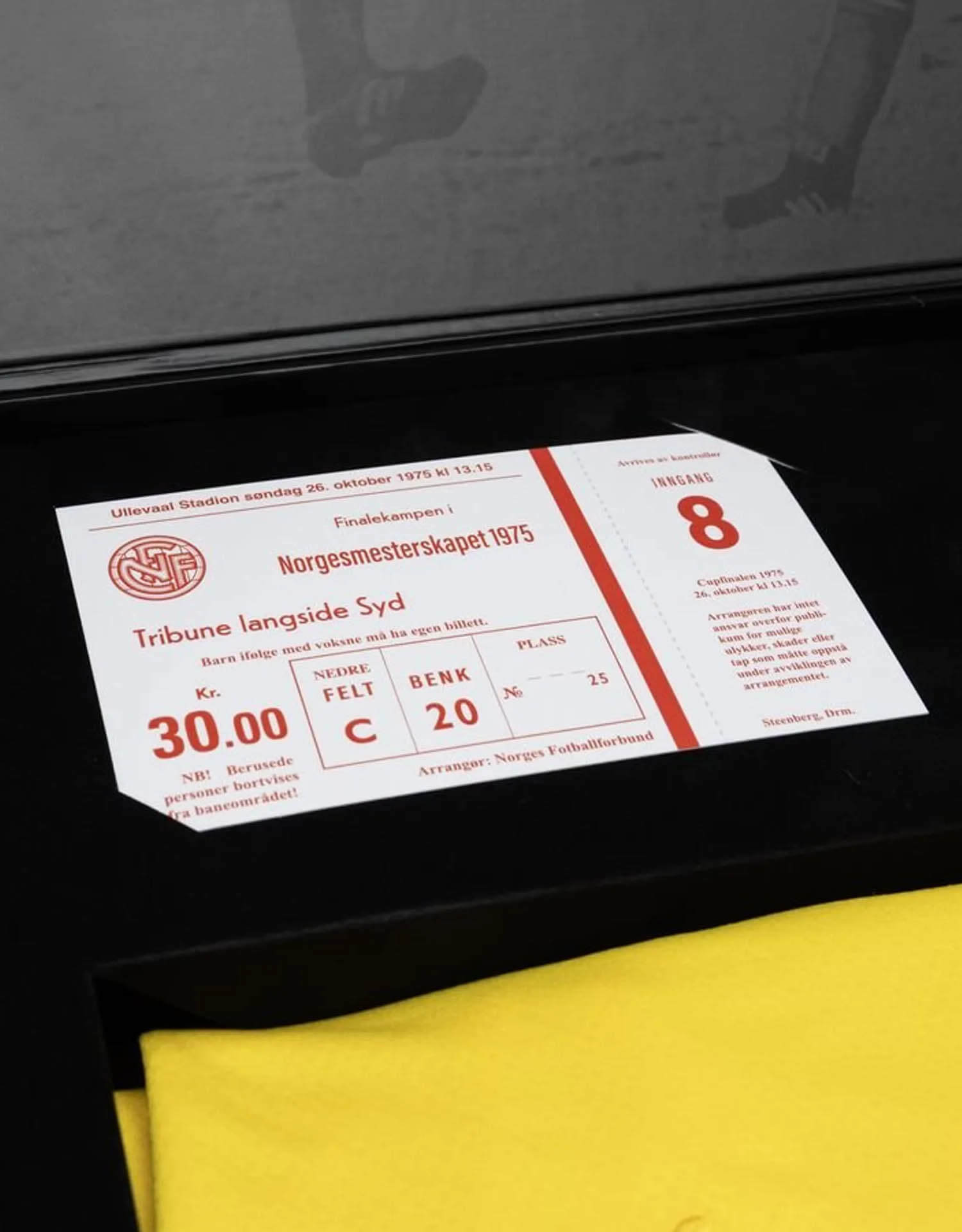 Camisa dos 50 anos da Copa da Noruega 1975 do Bodo Glimt 2025 PUMA