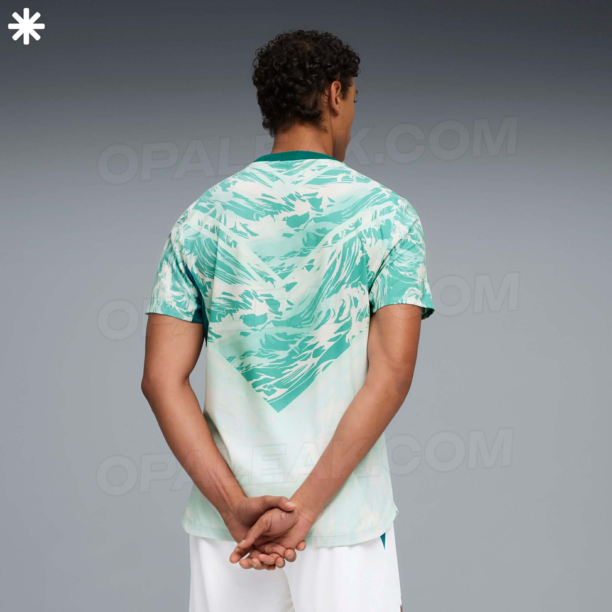 camisa reserva de Portugal 2026 PUMA