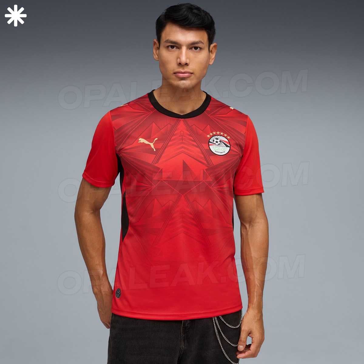 camisas egito 2026 puma
