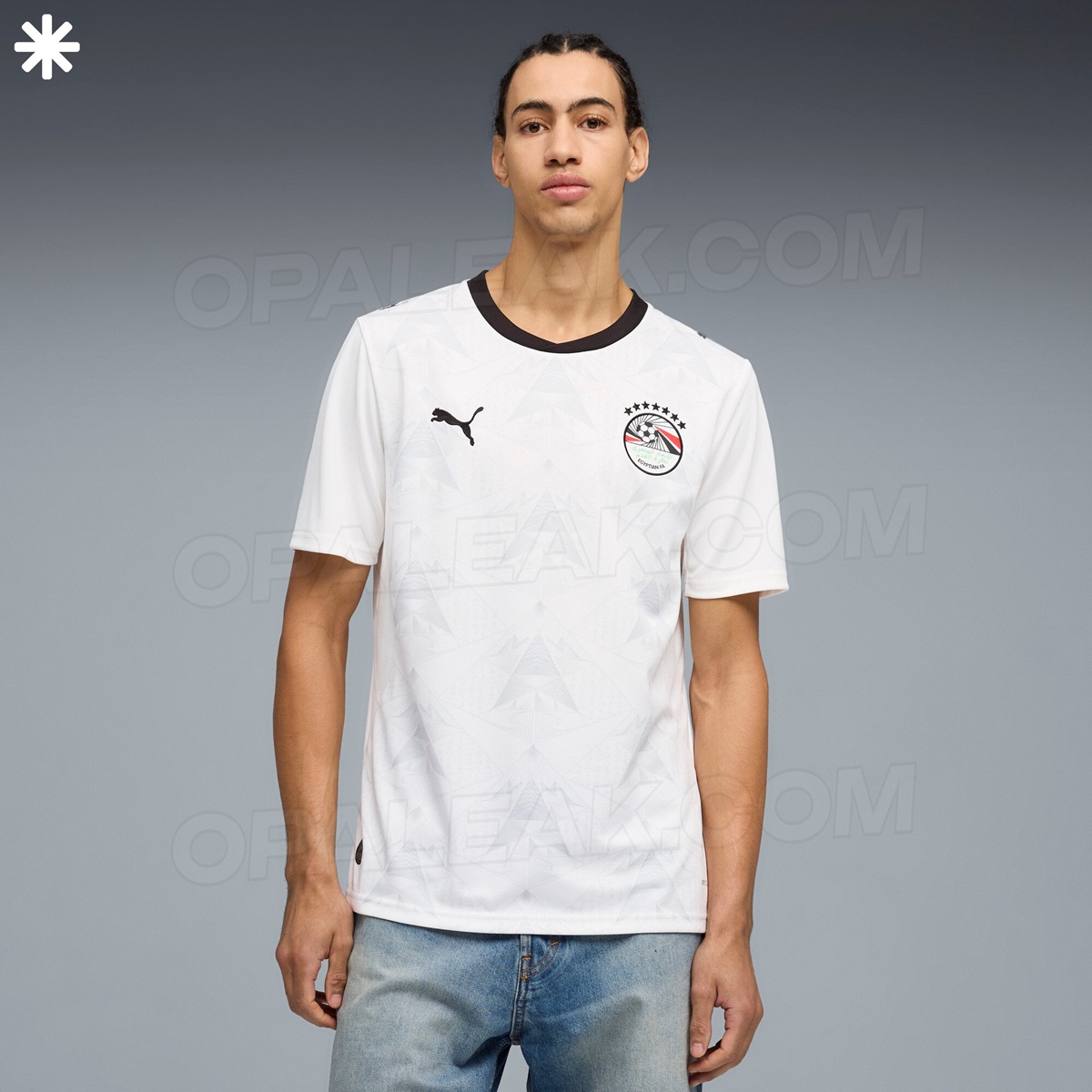 camisas egito 2026 puma