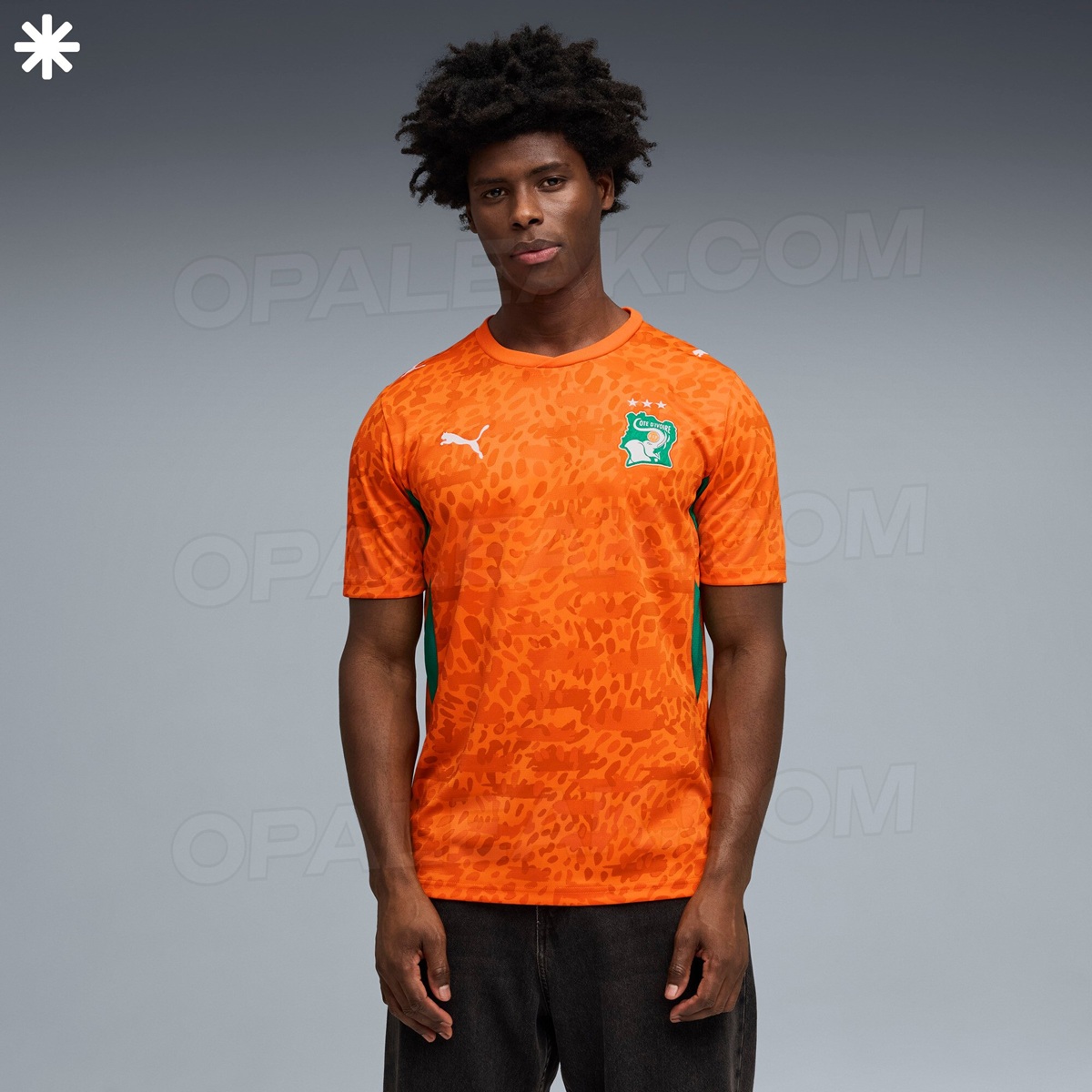Camisas costa do marfim 2026 puma