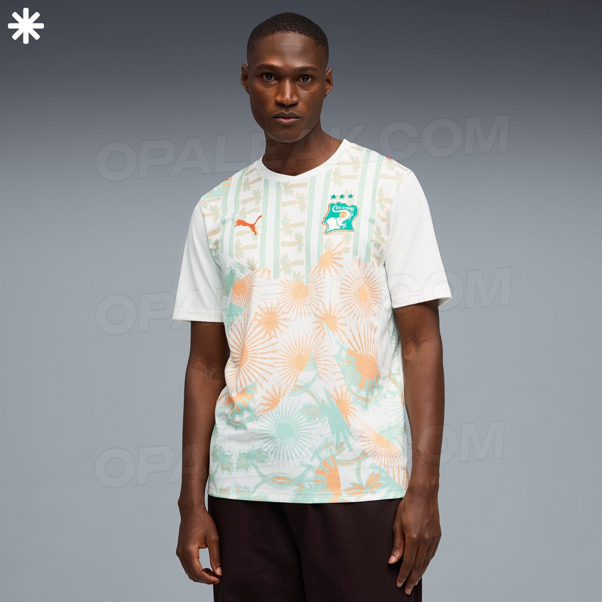 Camisas costa do marfim 2026 puma