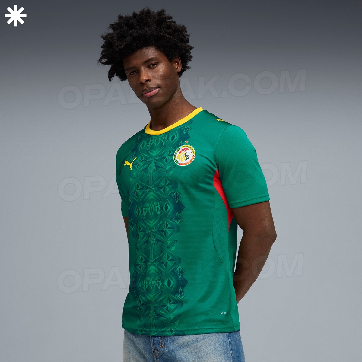 camisas senegal 2026 puma