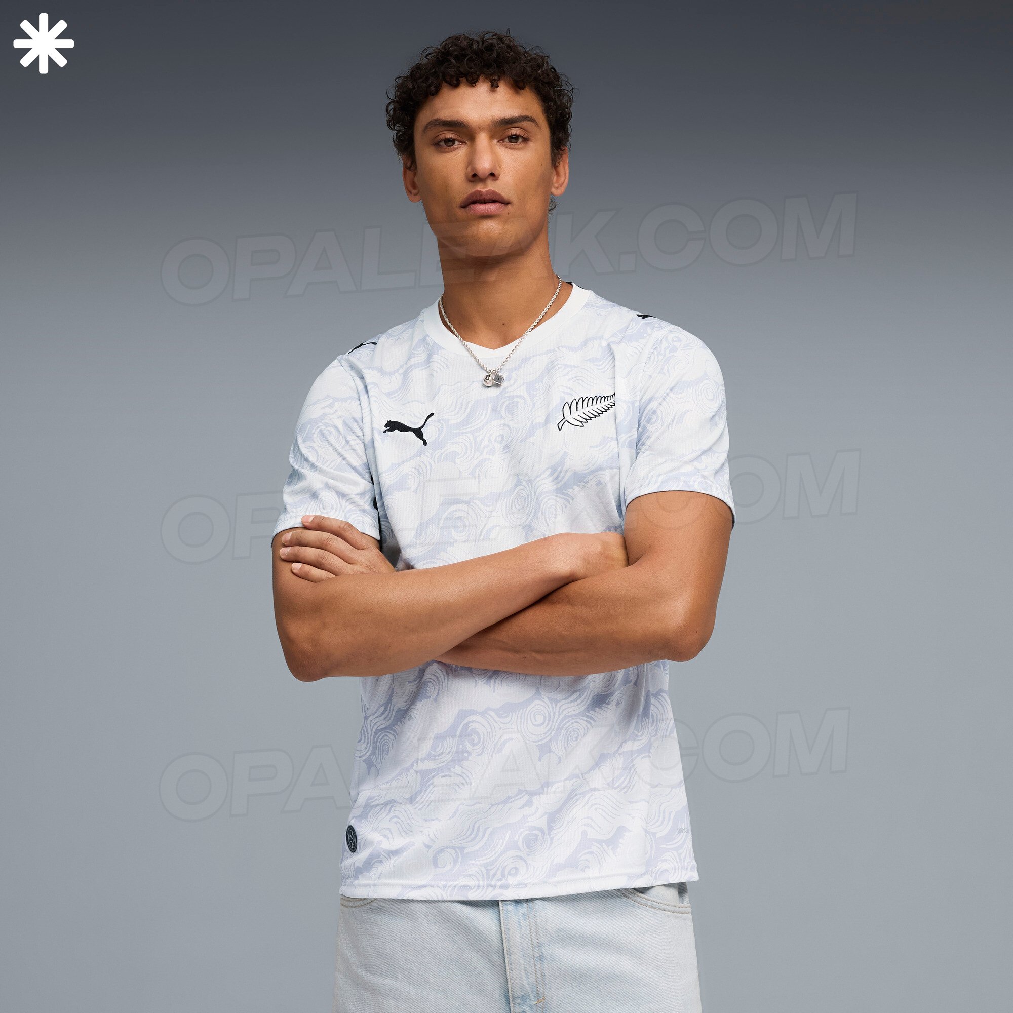 camisas nova zelândia 2026 puma