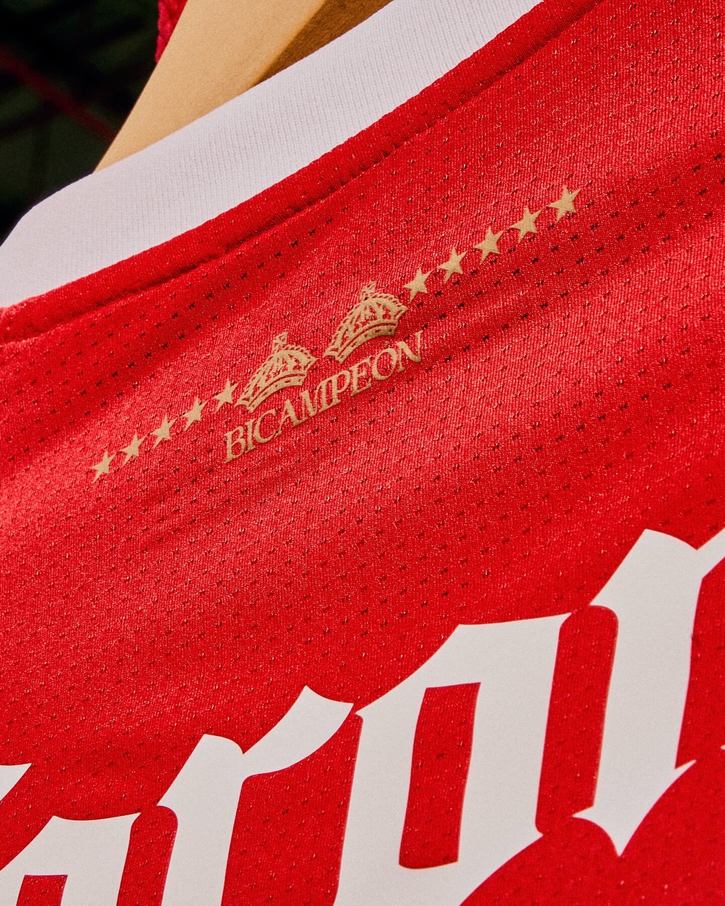 camisa bicampeonato toluca 2026 new balance