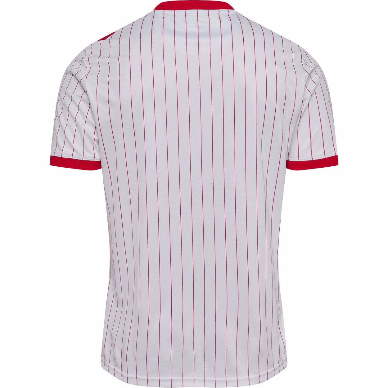 camisa reserva dinamarca 2026 hummel