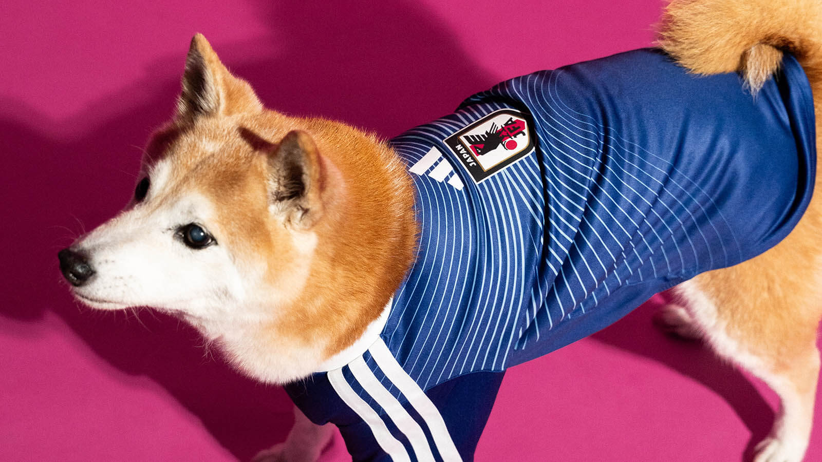 adidas camisas pet japão