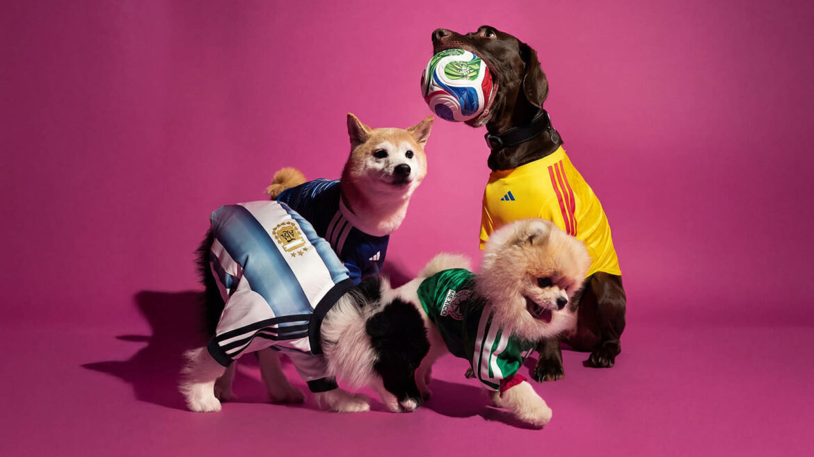 adidas camisas pet copa do mundo 2026