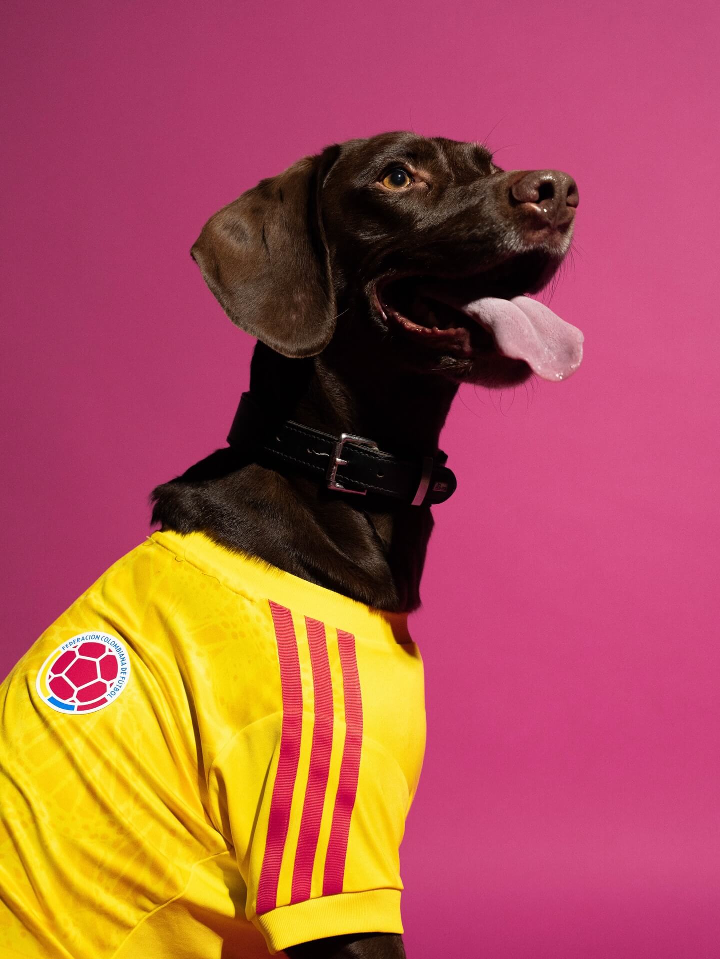 adidas camisas pet colômbia