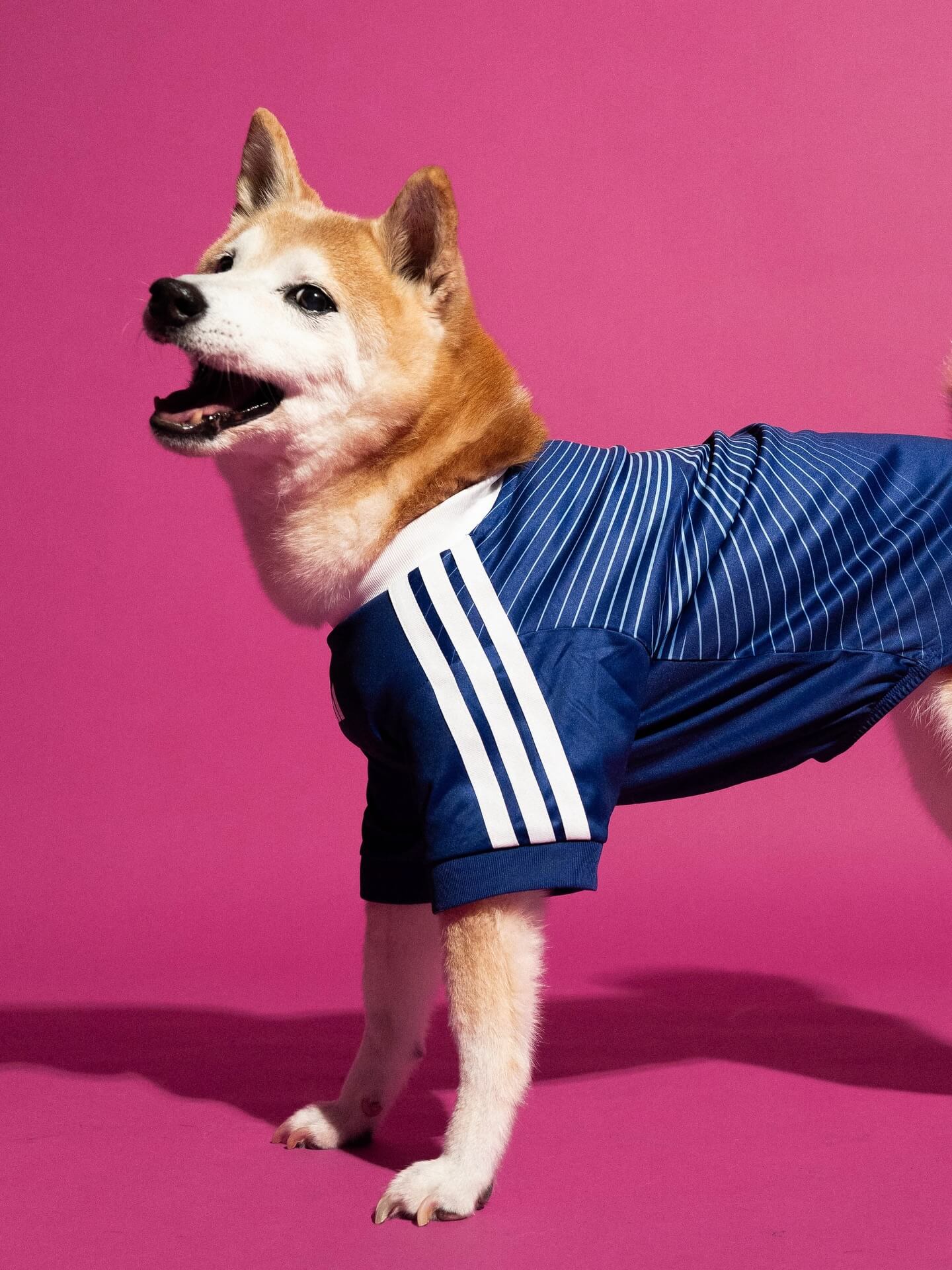 adidas camisas pet japão