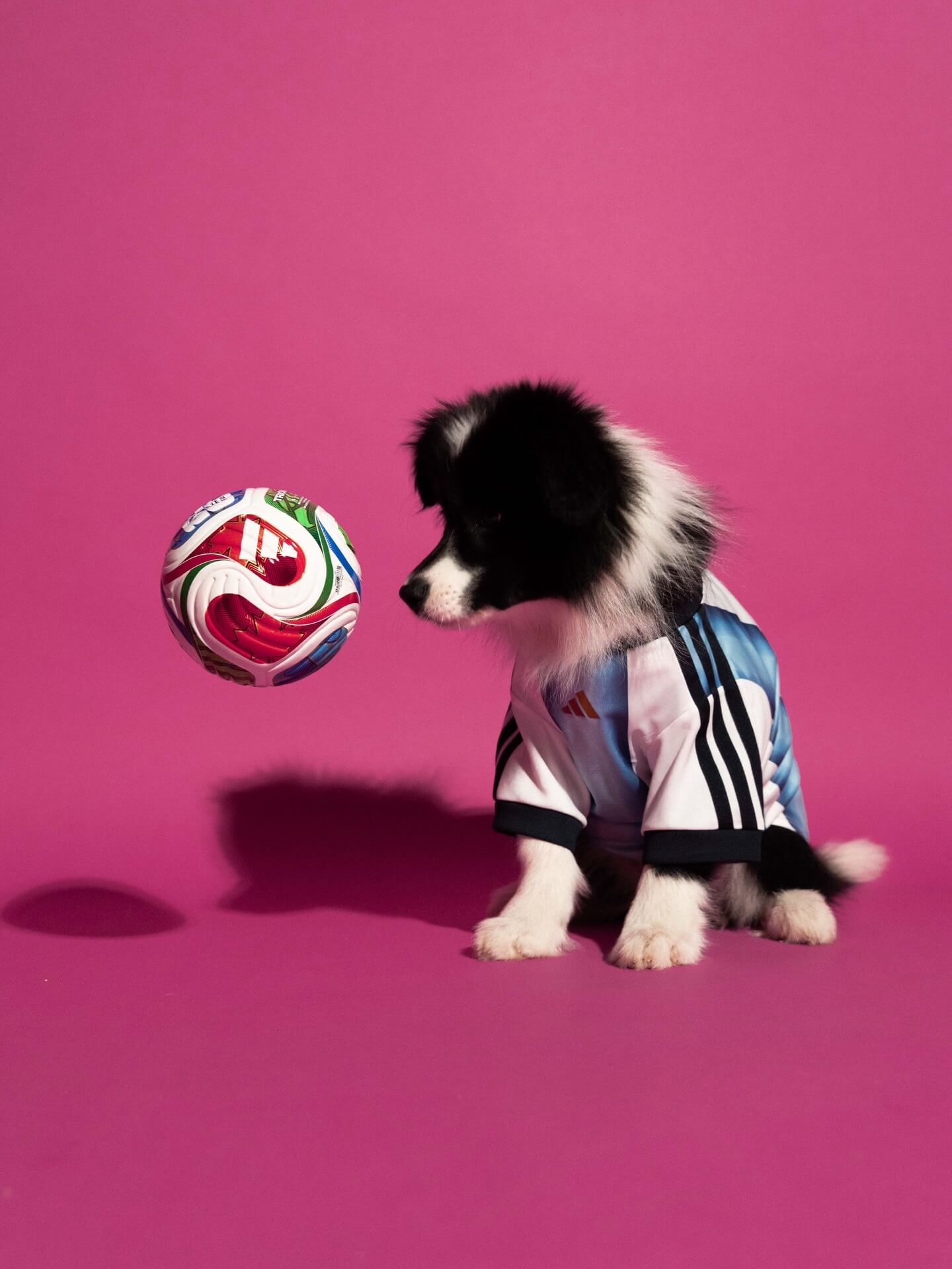 adidas camisas pet argentina