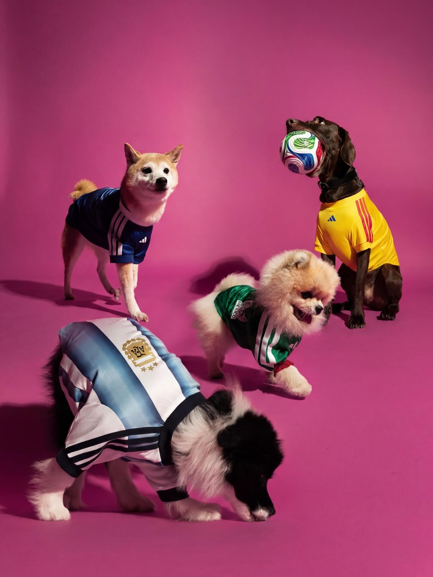 adidas camisas pet copa do mundo 2026