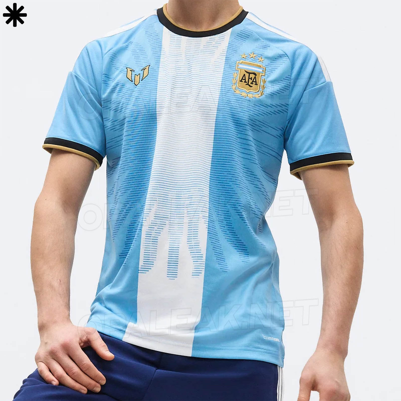 Camisa especial Argentina 2026 - Marca Messi