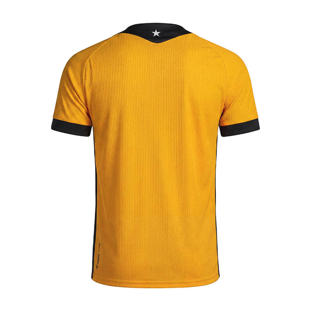 Camisas do Botafogo 2026-2027 Mizuno GK kit