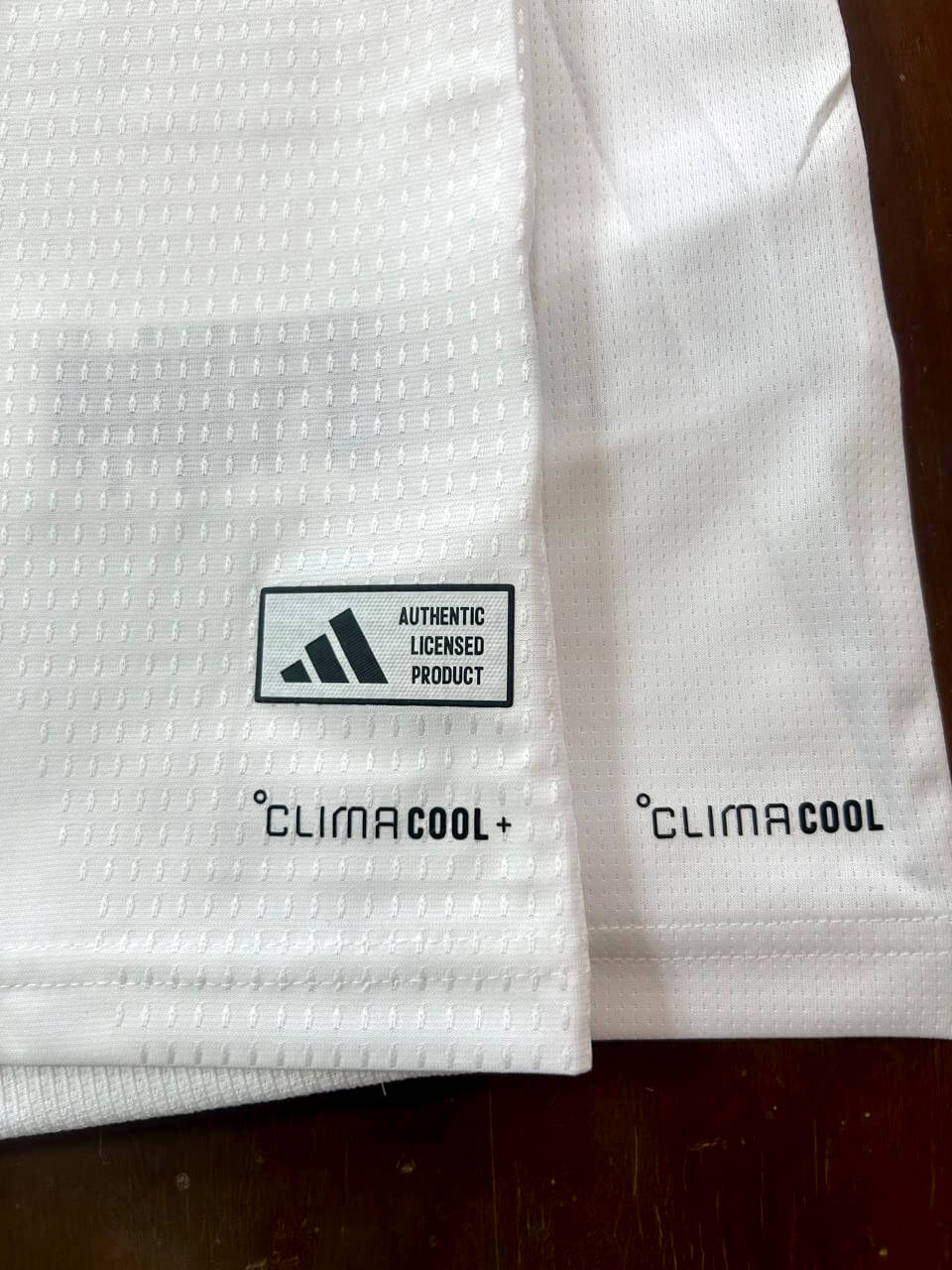 Cruzeiro Internacional Climacool