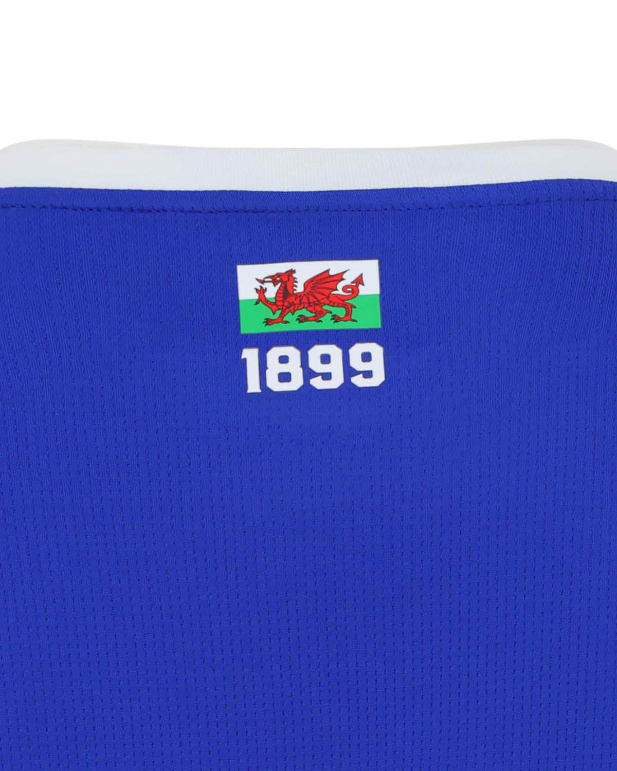 Camisa titular do Cardiff City 2026-2027 Castore