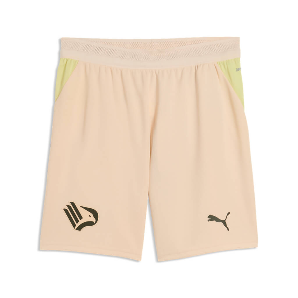 Camisa reserva palermo 2026-2027 PUMA