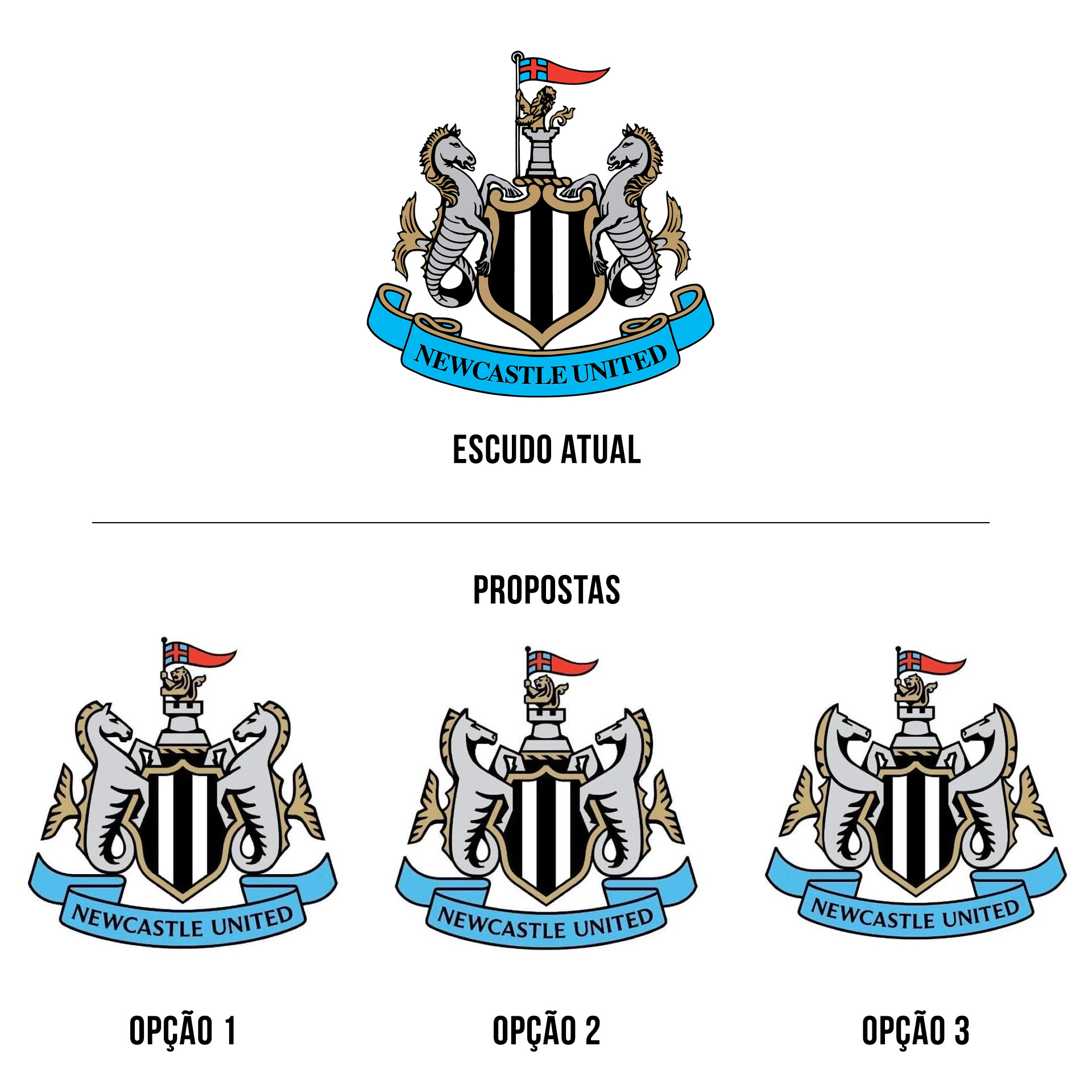 newcastle United propostas escudo