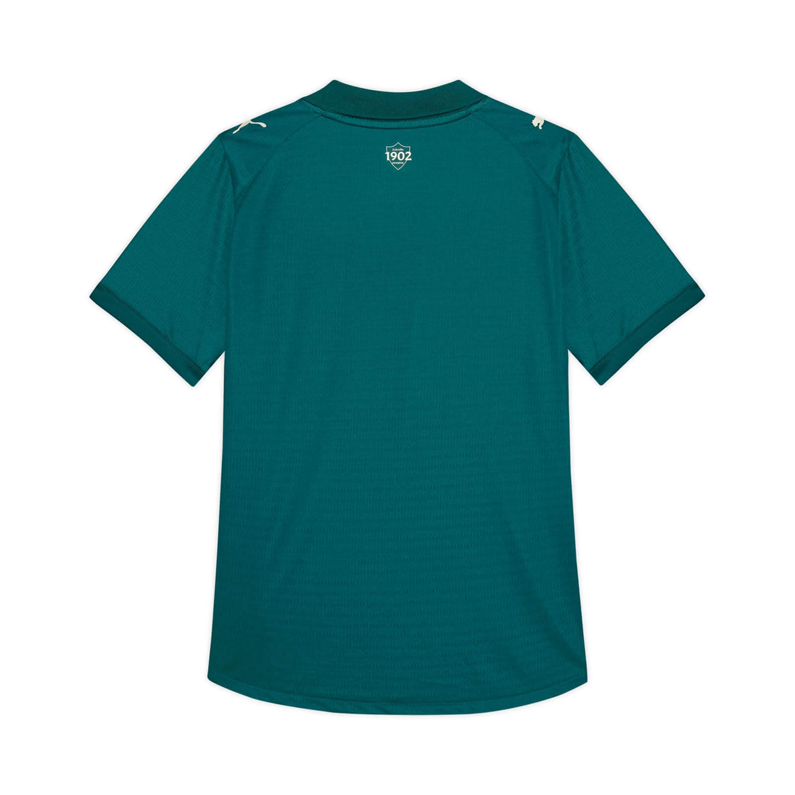 Terceira camisa do Fluminense 2026-2027 PUMA kit