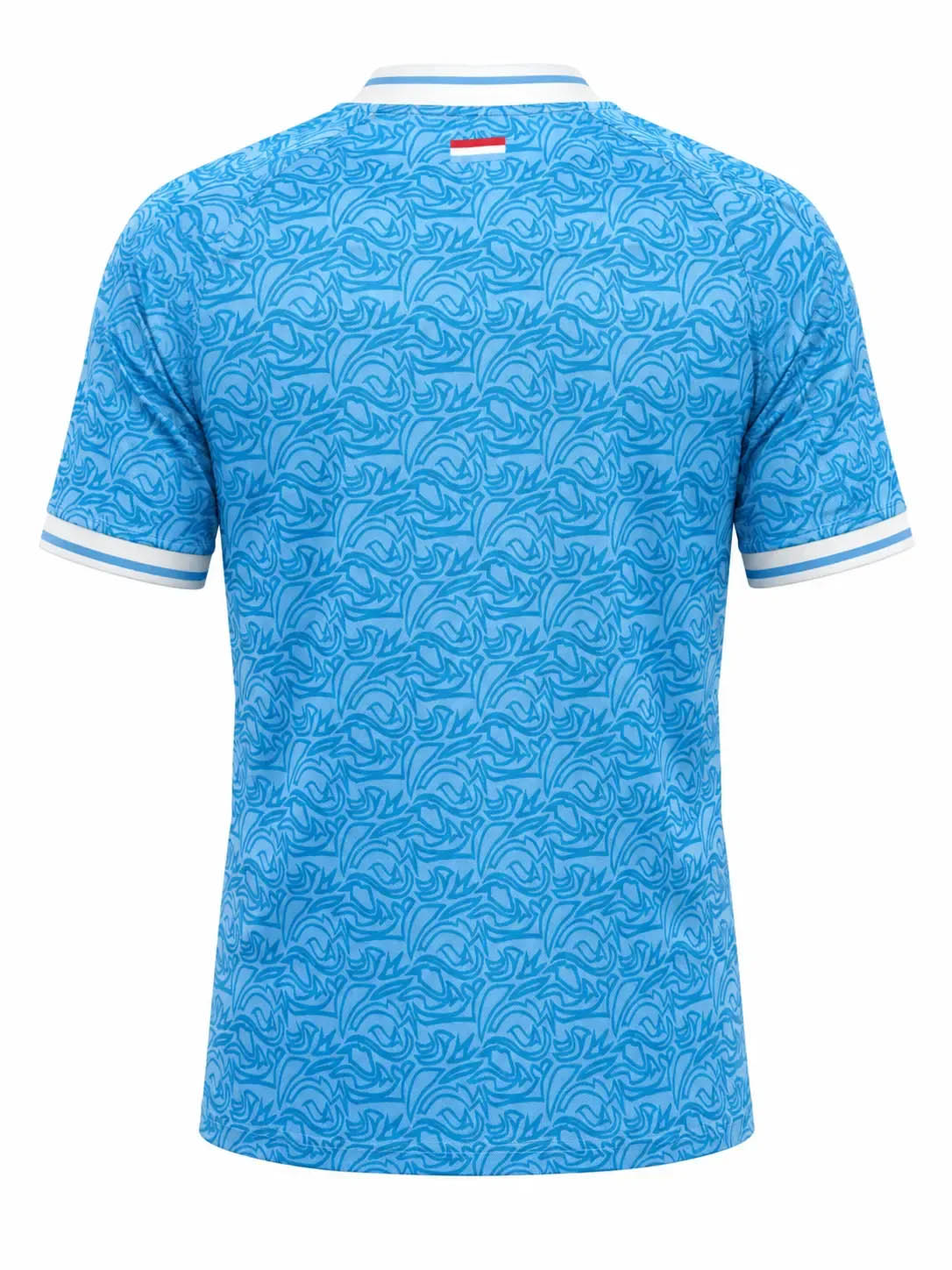 Camisa reserva de Luxemburgo 2026-2027 Jako
