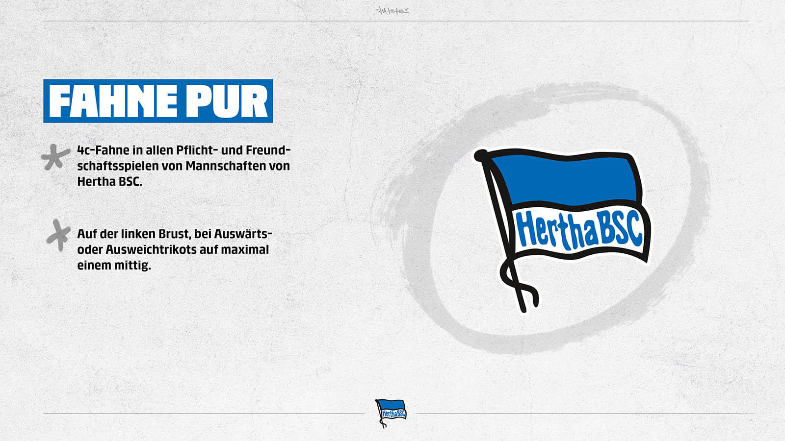 trikotmanifest-hertha