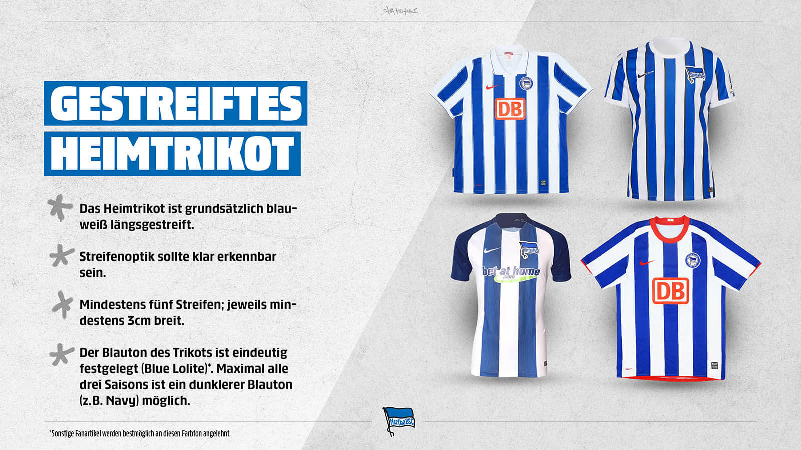 trikotmanifest-hertha