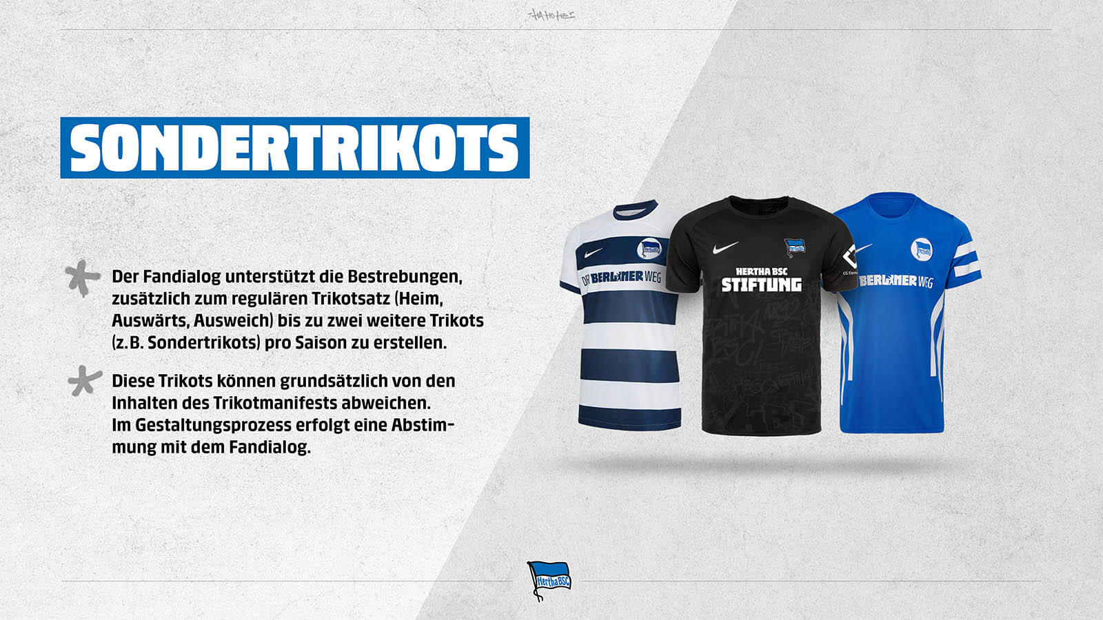 trikotmanifest-hertha